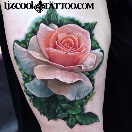 Liz Cook - Realistic Rose